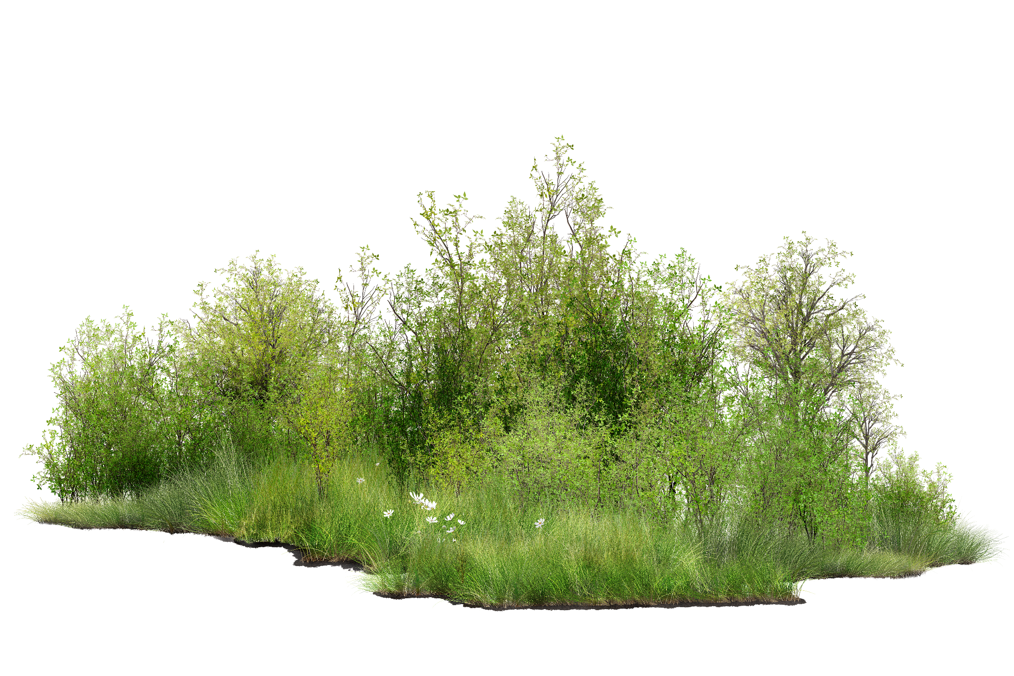 Foliage cutout used in the matte painting