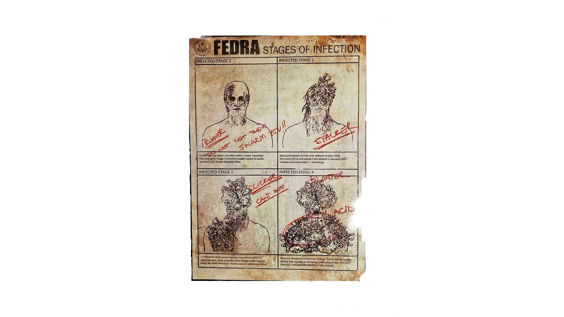 FEDRA infection stages poster